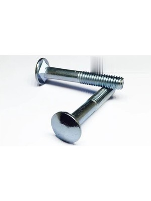 Skygo Kasa Civata 5/16x50 - 10 Adet