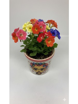 Lebron Seramik Dekoratif Saksı