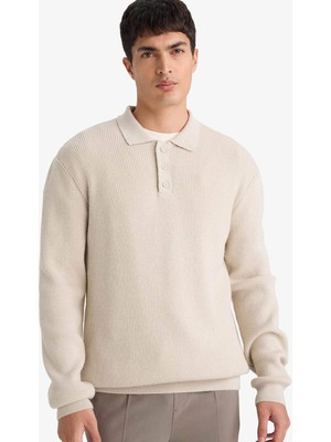 DeFacto Standart Fit Polo Yaka Triko Kazak D3589AX25WN