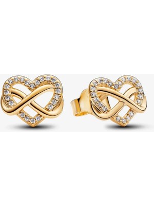 Hector Co Jewellery Işıltılı Sonsuz Kalp Çivi Küpeler