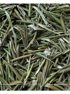 Zeytin Yaprağı Çayı