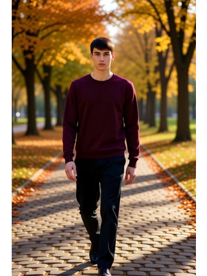 Benerly Erkek Bisiklet Yaka Standart Kol Regular Kalıp Sweatshirt Fonksiyonel Dayanıklı Kaliteli Şık
