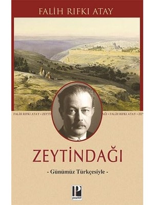Pozitif Yayınları Zeytindağı (Günümüz Türkçesiyle) + Pal Sokağı Çocukları + Huzursuzluğun Kitabı + Beyaz Zambaklar Ülkesinde + 4 Kitap Set