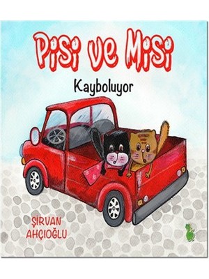 Novytech Pisi ve Misi Kayboluyor