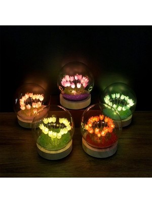 Askımo LED Işıklı Lale Cam Fanus