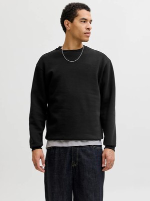 Jack & Jones Jjebradley Sweat Crew Noos