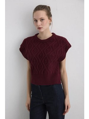 Gusto Bisiklet Yaka Triko Süveter - Mürdüm