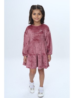 Toontoy Kız Çocuk Nakışlı Elbise