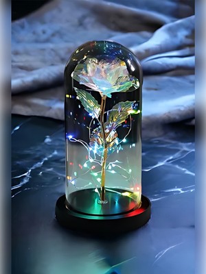 Özbience Işıklı Sonsuzluk Gülü Dekoratif Fanus, Sevgililer ve Anneler Günü Hediye