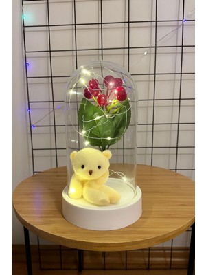 Özbience Yılbaşı Temalı LED Işıklı Sevgiliye Hediye Ayıcık ve Fanus Seti