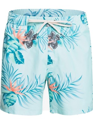 Quiksilver Paradise Express Volley 15 Erkek Yeşil Volley Short