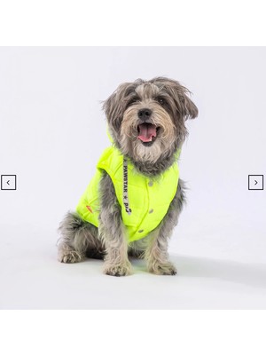 Neon Sarı Su Itici Köpek Yağmurluğu