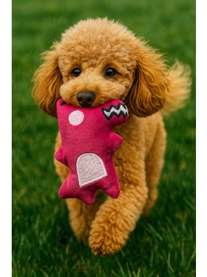 Sevimli Canavar Serisi Köpek Oyuncağı Pink Love
