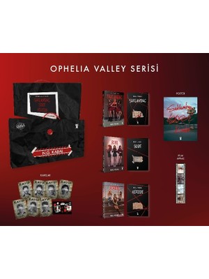 Dex Kitap Saklambaç Serisi (Ciltli-Kutulu) Set - N.G.Kabal