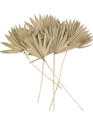 Yapay Çiçek Sitesi Palmiye Yaprağı 5 Adet 40 cm