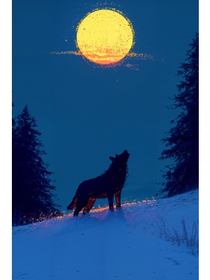Ay Işığında Uluyan Kurt Kanvas Tablo