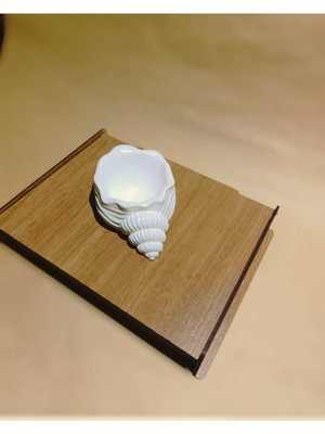 Feyza Design Renkli ve Şık Tasarımlı Çok Fonksiyonlu Ev Aksesuarı