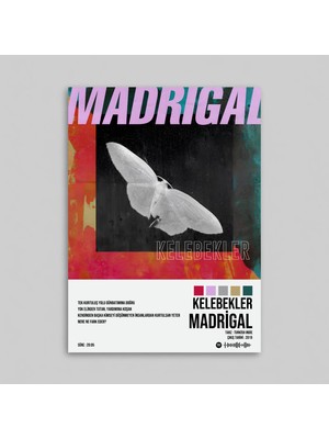 Orendart Madrigal - Kelebekler Spotify Çerçeveli - Çerçevesiz Poster Tablo
