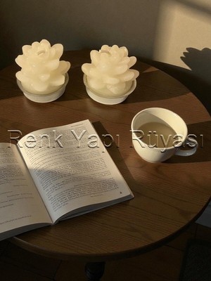 Feyza Design 2'li Su Sükulent Lotus Çiceği Mum Seti - Dekoratif ve Şık Hediye