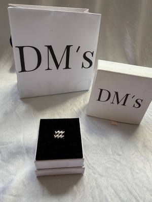 DMs Silver Kova Burcu Gümüş Charm'ı