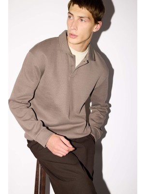 DeFacto Regular Fit Polo Yaka Sweatshirt E9628AX25AU