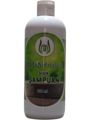 Nuvigo Sidir Özlü Doğal Bitkisel Şampuan – 400 ml | Arındırıcı, Saç Dökülmesini Önleyici & Kepeğe Karşı Etkili