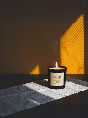 Golonya Atelier Tropikal Woody Dekoratif Oda & Ofis Premium Kokulu Niche Mum 220 gr