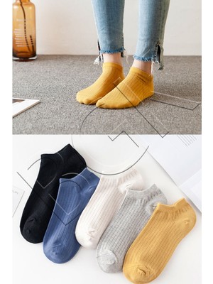 Bgk Unisex 5'li Yazlık Renkli Çorap