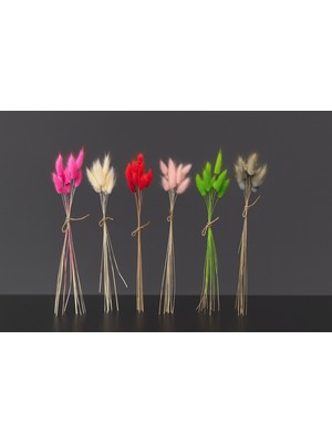 Çınar Asyada Home Karışık Renkler Doğal Kurutulmuş Tavşan Kuyruğu Otu Buketi 6 Demet (60 Dal)