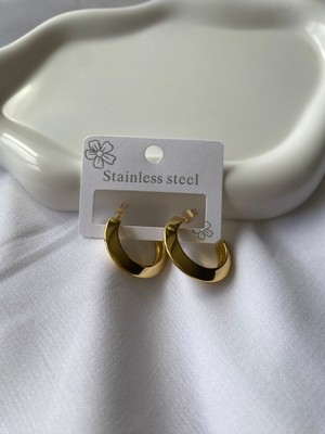 Alp Jewel 316L Oval Halka Paslanmaz Çelik Küpe Xuping Kararma