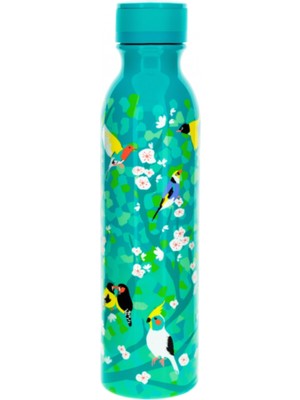 Pylones Termos | Keep Cool Bottle (75CL) - Birds