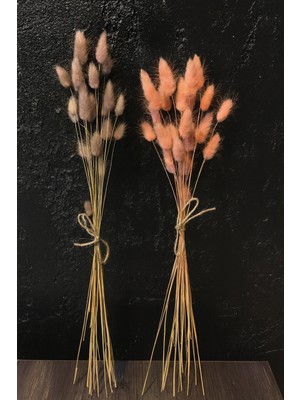 Doğal Kurutulmuş Tavşan Kuyruğu Otu Buketi 2 Demet 20'li Dallı Çift Renkli