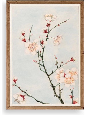Buffer Cherry Blossom Ahşap Çerçeveli Tablo