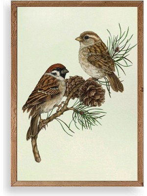 Buffer Kuş Ahşap Çerçeveli Tablo