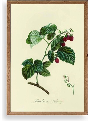 Buffer Yaprak Ahşap Çerçeveli Tablo