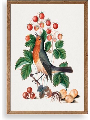 Buffer Daldaki Kuş Ahşap Çerçeveli Tablo