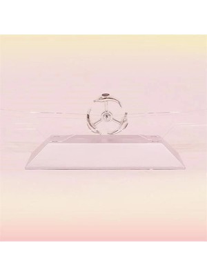 AyrStore Dekoratif Masa Üstü Obje Manyetik Kinetik Orbital Dönen Yunuslar