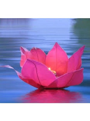 Costurera Nilüfer Su Çiçeği Su Feneri