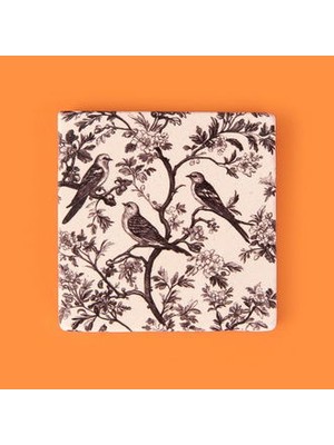 Evidea Kitchen Kuşlar Taş Bardak Altlığı - Renkli - 10X10 cm