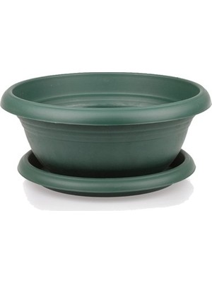 Tunç Botanik BONSAİ SAKSISI  3 ADET (TABAKLI 13 LT)