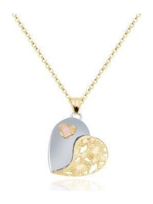 Diamond Line-Gülaylar 14 Ayar Altın Kalp Kolye