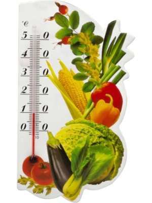 Neonova Mıknatıslı Mutfak Termometresi