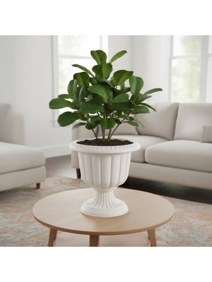 Bliss Nergis Dekoratif Kırık Beyaz Ayaklı Saksı - Plastik Çiçek Saksısı 3,4 Litre Hacim