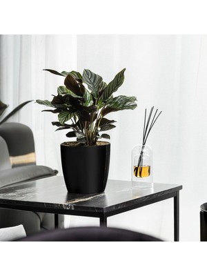 Bliss Yakut Parlak Plastik Çiçek Saksısı 4,4 Litre