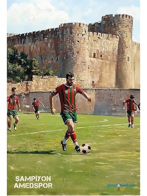 Zerya Amedspor Posteri - Amed Spor Posterleri 2