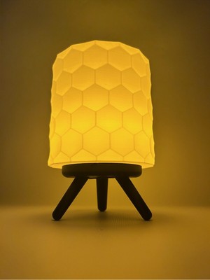 Koçer Awm 3D Dekoratif Özel Tasarım Şık Abajur, Masa Lambası LED Mumlu