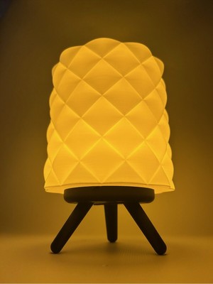 Koçer Awm 3D Dekoratif Özel Tasarım Şık Abajur, Masa Lambası LED Mumlu