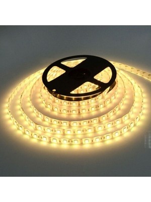 5 Metre 12V Şerit LED Işık, 4000K Sıcak Beyaz, Iç Mekan Aydınlatması