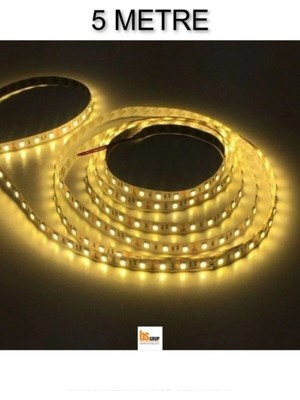 5 Metre Iç Mekan Işıklandırmalı Rulo Şerit Led, 12V, Yapışkan Bantlı