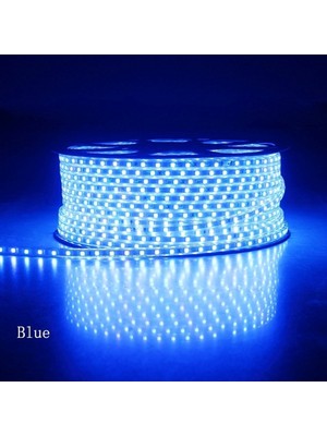 Mavi LED Hortum 220V Su Geçirmez, Fiş Dahil, Metre Başı 120 LED
